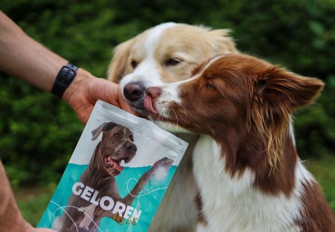 GELOREN Large Dog Suplement dla psa - 420g GELOREN Large Dog Suplement dla psa - 420g