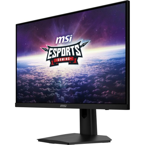 MSI Monitor MSI G244F E2