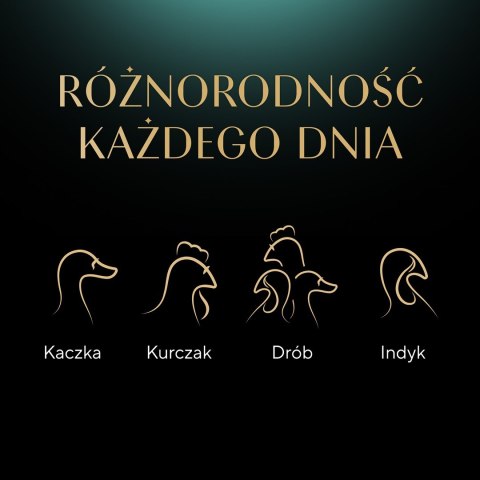 Sheba SHEBA Delicacy drobiowe smaki w galarecie- Drób - Mokra karma dla kota - 40x85g