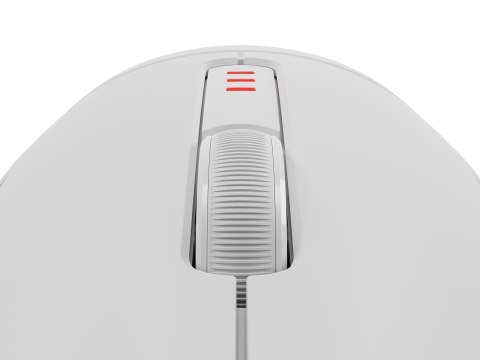GENESIS GENESIS Zircon 500 myszka Gaming Po prawej stronie RF Wireless + Bluetooth + USB Type-C Optyczny 10000 DPI GENESIS GENESIS Zircon 500 myszka Gaming Po prawej stronie RF Wireless + Bluetooth + USB Type-C Optyczny 10000 DPI