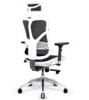 DIABLO CHAIRS Fotel gamingowy DIABLO V-BASIC fotel biało-czarny