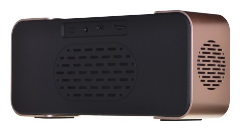 Adler Radiobudzik ADLER AD 1190cr