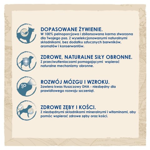 PURINA NESTLE PURINA DOG CHOW Puppy Lamb - sucha karma dla szczeniąt wszystkich ras - 14 kg