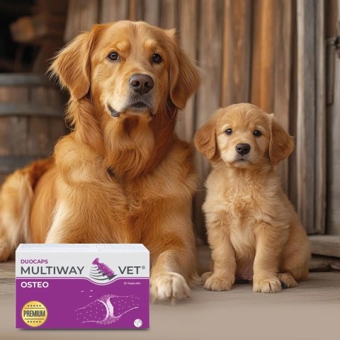 JM Sante JM SANTE MULTIWAY DUOCAPS OSTEO wsparcie stawów 60 kaps