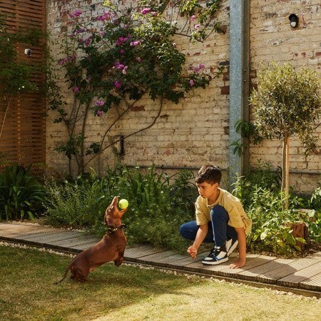 Yale Yale Zewnętrzny czujnik ruchu - Przyjazny zwierzętom