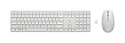 Hewlett-Packard Zestaw klawiatura + mysz HP 650 Wireless Keyboard and Mouse Combo bezprzewodowe białe 4R016AA