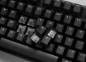 Ducky Ducky One 3 Aura TKL klawiatura Gaming USB QWERTY Amerykański międzynarodowy Czarny