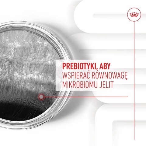 Royal Canin ROYAL CANIN Digestion Adult Dog Supplements 160g