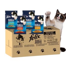 PURINA NESTLE PURINA Felix MIX Smaków - mokra karma dla kota - 120x85 g
