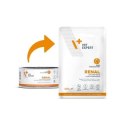 VetExpert VetExpert Veterinary Diet Renal cat 100g pouch