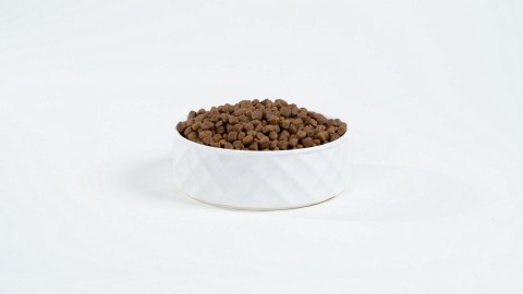 BULT łosoś i pstrąg sucha karma dorosłe psy 12kg