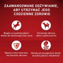 PURINA One Mini/Small Sensitive Łosoś, ryż - sucha karma dla psa - 800 g