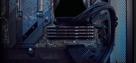 Kingston FURY DDR5 64GB (2x32GB) 5200MHz CL36 Beast Black EXPO