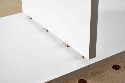 Festool 493296 kołek rozporowy 1800 szt. Buk Ciasteczkowy