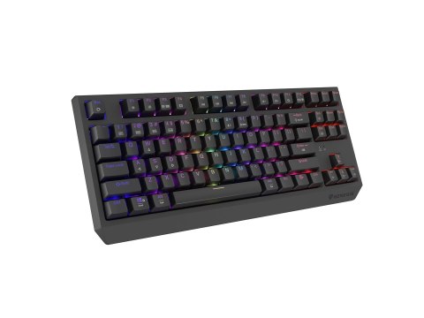 GENESIS Thor 230 TKL klawiatura Gaming USB + RF Wireless + Bluetooth QWERTY Szary