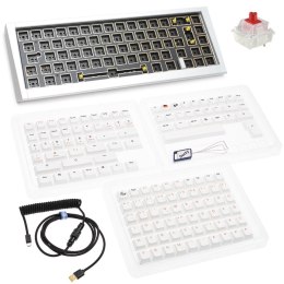 Ducky Outlaw 65 klawiatura Uniwersalne USB Srebrny