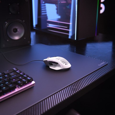 Glorious PC Gaming Race Model I myszka Po prawej stronie USB Typu-A Optyczny 19000 DPI