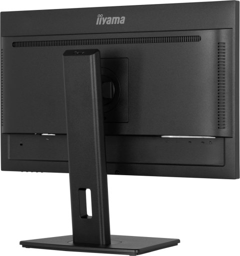 Monitor IPS 1H 1DP, 2x2.0, 100Hz
