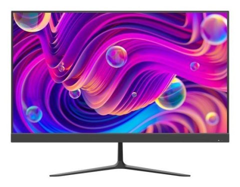 Monitor DS-D5024F2-BV2S