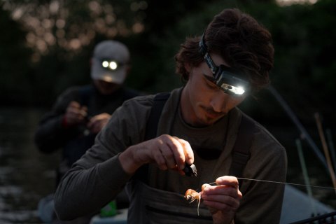 Ledlenser HF8R Core RGB Camouflage - latarka czołowa LED, zielona