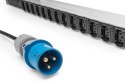 Digitus Basic IT PDU, 1-fazowy 16 A, 24 x C13, 3 x C19, kabel zasilający 3 m, wtyczka IEC 60309 16 A
