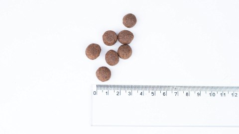 BULT Karma sucha z indykiem dla dorosłych psów 3kg