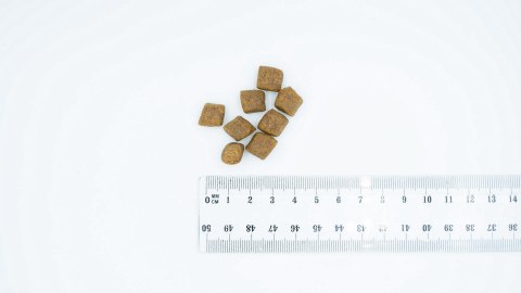 BULT Karma sucha z łososiem i pstrągiem dla psa 3kg