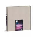 Lampa LED Philips Hue Datura, 600x600 mm