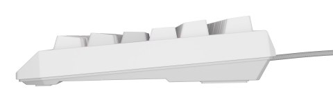 KLAWIATURA DLA GRACZY GENESIS THOR 230 TKL US RGB MECHANICZNA OUTEMU RED BIAŁA HOT SWAP