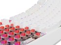 KLAWIATURA DLA GRACZY GENESIS THOR 230 TKL US RGB MECHANICZNA OUTEMU RED BIAŁA HOT SWAP