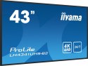 Panel Iiyama LH4341UHS-B2 43" 3840x2160 4K UHD IPS