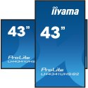 Panel Iiyama LH4341UHS-B2 43" 3840x2160 4K UHD IPS