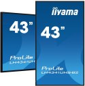 Panel Iiyama LH4341UHS-B2 43" 3840x2160 4K UHD IPS