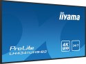 Panel Iiyama LH4341UHS-B2 43" 3840x2160 4K UHD IPS