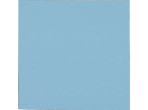 Termopad Thermal Grizzly Minus Pad Pro 100 x 100 x 2,0 mm