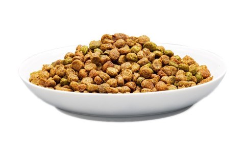 PREVITAL PREVITAL kurczak karma sucha karma kocięta 0,95kg