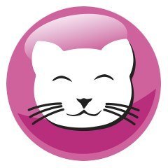 PREVITAL PREVITAL kurczak karma sucha karma kocięta 0,95kg