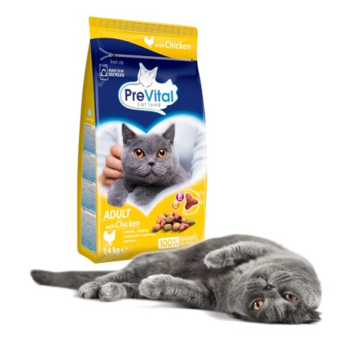 PREVITAL - Z kurczakiem - Pełnoporcjowa karma dla dorosłych kotów - karma sucha - 1,4kg