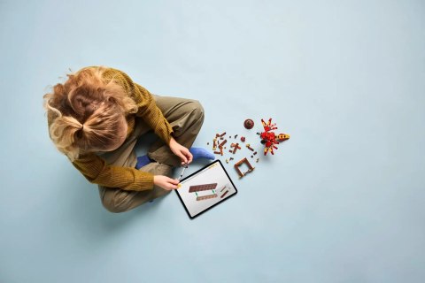 LEGO HARRY POTTER 76448 FAWKES™: DUMBLEDORE'S PHOENIX