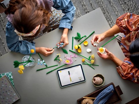 LEGO ICONS 10347 Botanicals - Mały bukiet żółtych kwiatów