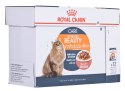 Karma Royal Canin Intense Beauty w sosie 12x85G