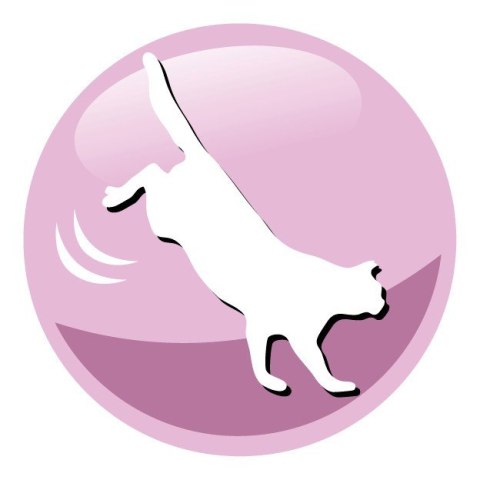 PREVITAL PREVITAL łosoś senior karma sucha dla kotów 1,4kg