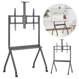 MACLEAN WÓZEK DO TV, PÓŁKA NA KAMERĘ, NA KÓŁKACH, 55-100