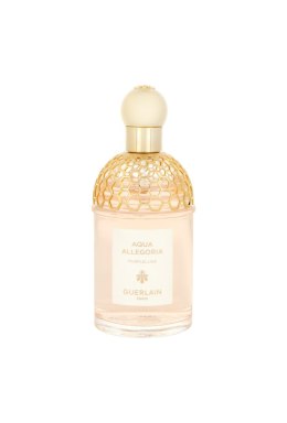 Tester Guerlain Aqua Allegoria Pamplelune Edt 125ml