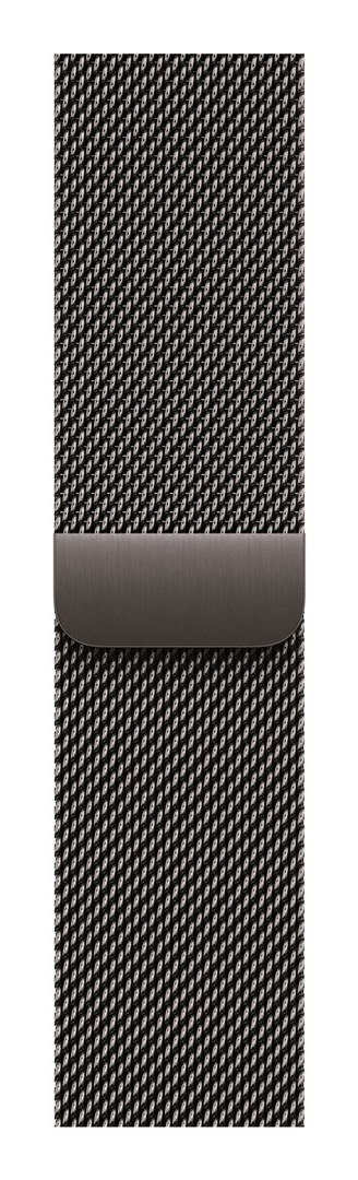 Apple Watch 42mm Slate Milanese Loop
