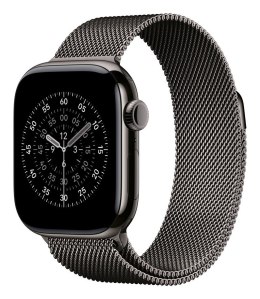 Apple Watch 42mm Slate Milanese Loop