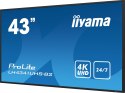 Panel Iiyama LH4341UHS-B2 43" 3840x2160 4K UHD IPS