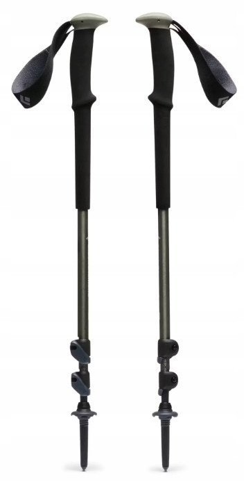 Kije trekkingowe Black Diamond Trail Trekking Poles Pine Smoke