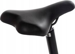 Rower elektryczny składany Snapp City-E Grafit