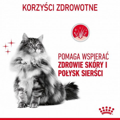 Karma Royal Canin Intense Beauty w sosie 12x85G